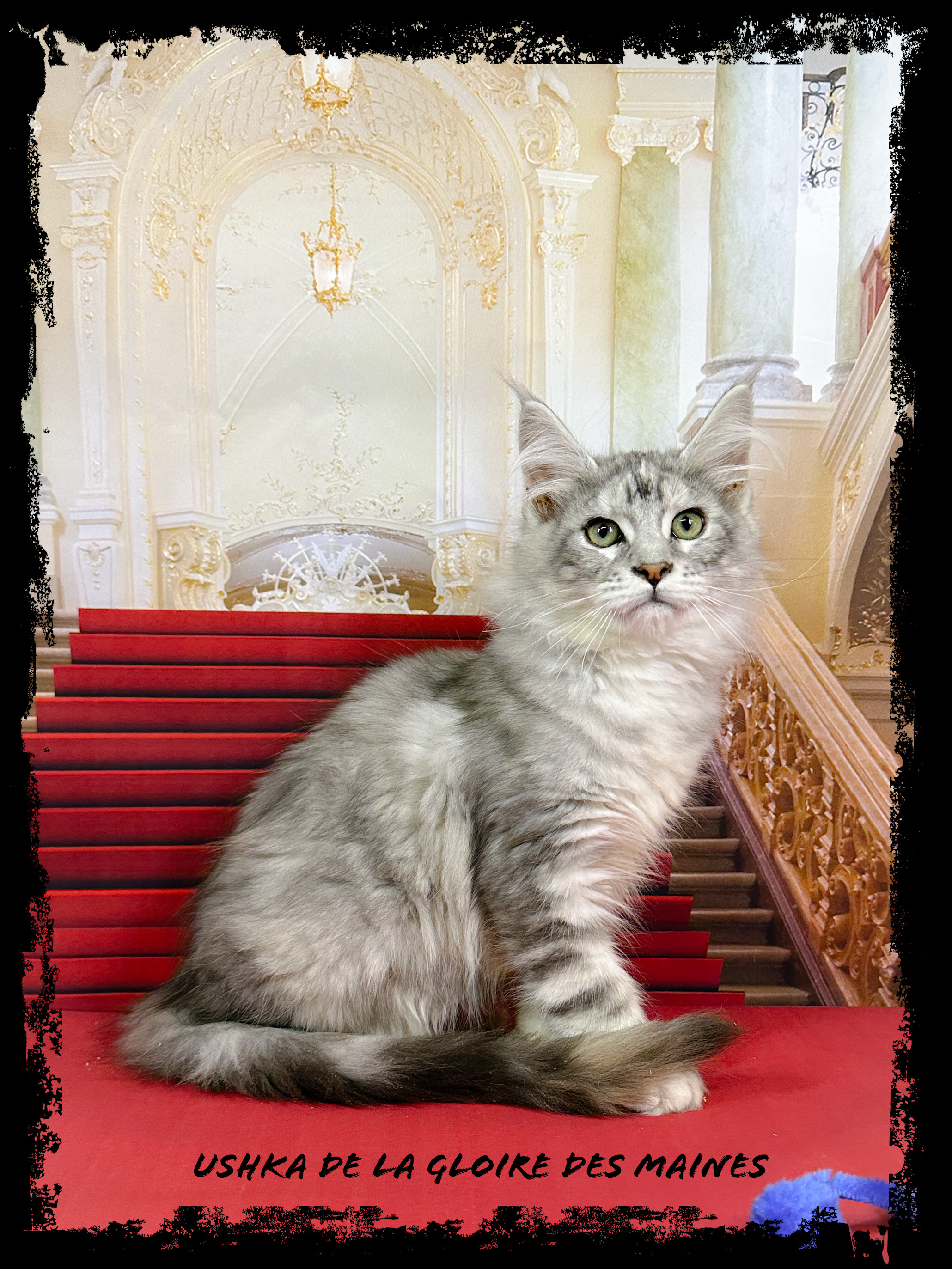 Ushka